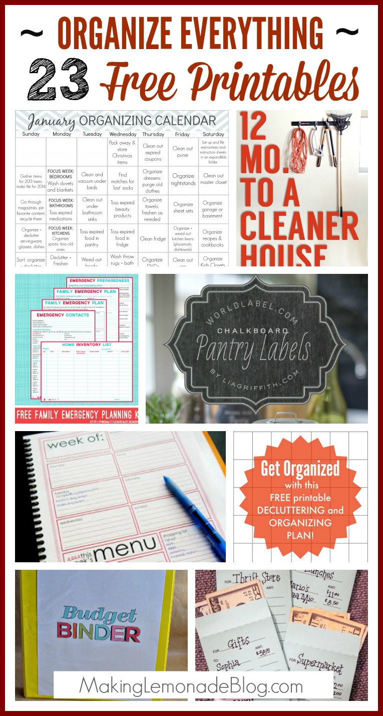 23 Free Printables to Organize Everything