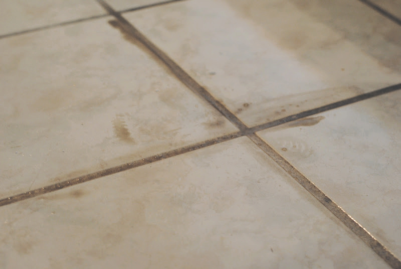 The MAGIC Grout Trick-- how to clean grout easily and naturally with this one trick!