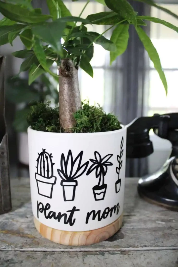 DIY plant mom homemade planter