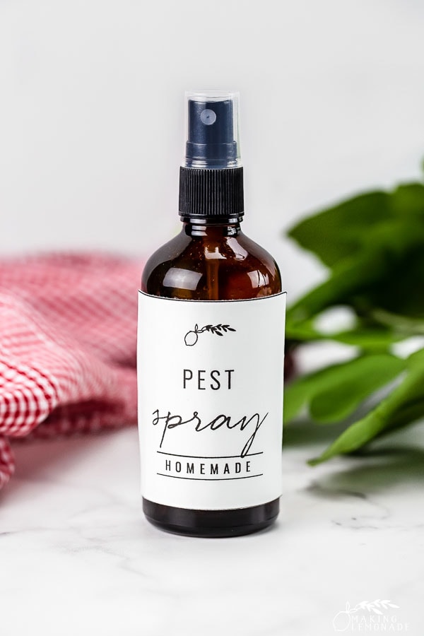 bottle of homemade pest spray