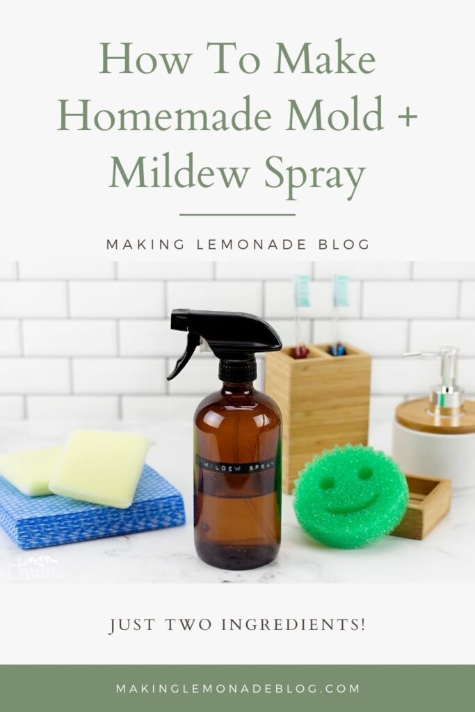 ingredients for DIY mold and mildew spray