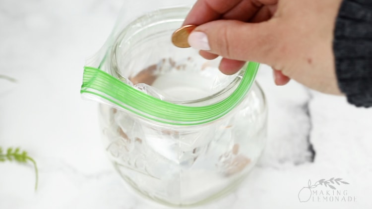 Dropping pennies into a bag of water