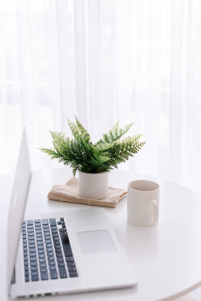 clean desktop with laptop and plant