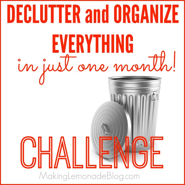 Declutter and Organize Everything CHALLENGE!