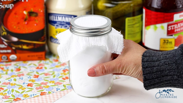 DIY fridge deodorizer