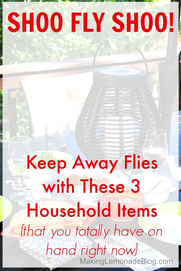 Amazing Trick for Repelling Flies at your next outdoor picnic or party using just THREE common household items! via makinglemonadeblog.com